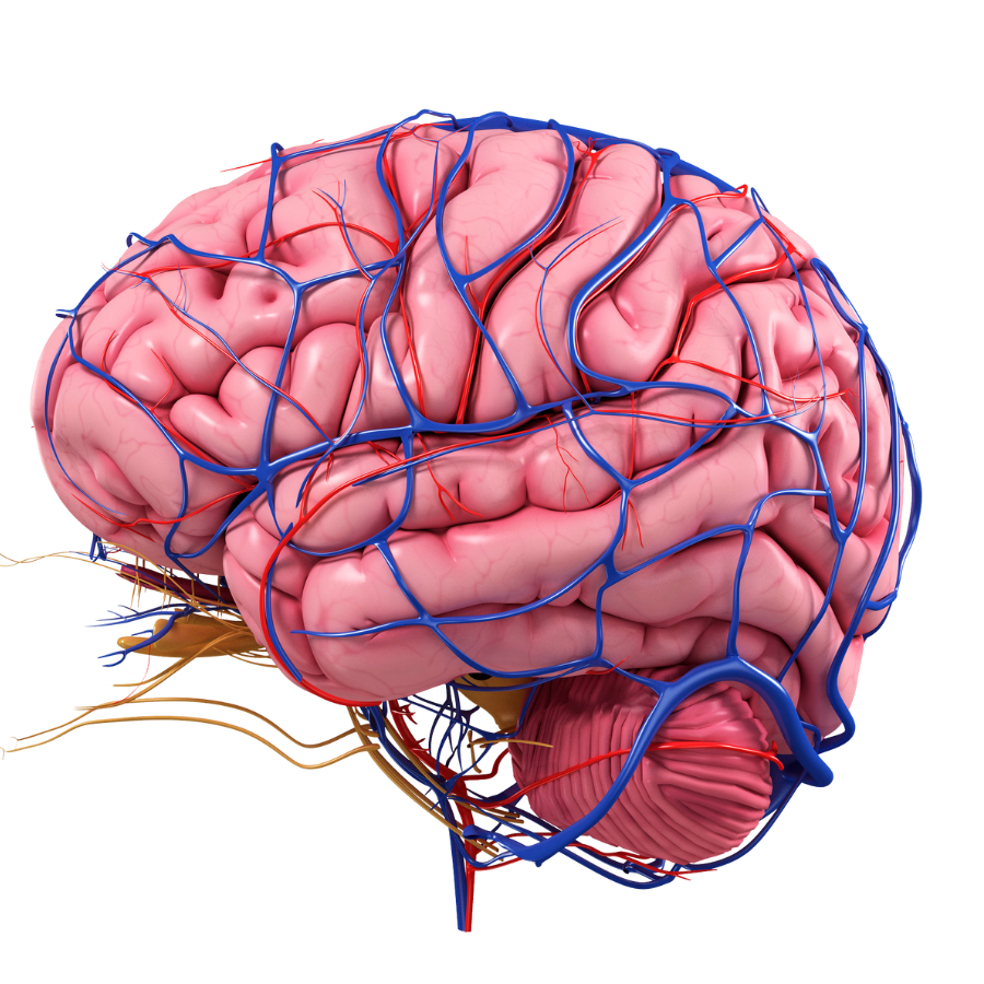DƯỢC PHẨM BÌNH TÂN